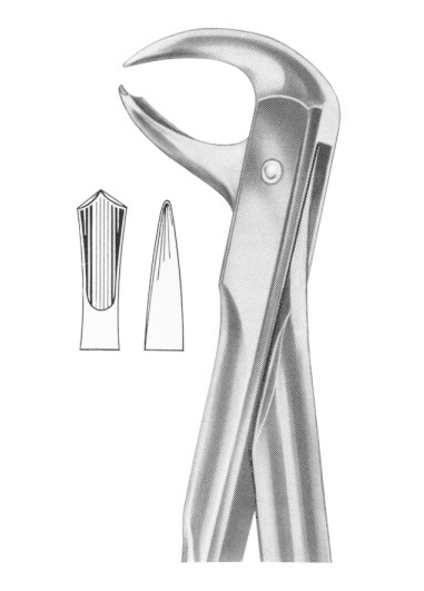 Fig. 99 lower molars