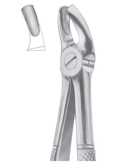 Fig. 18B upper molars