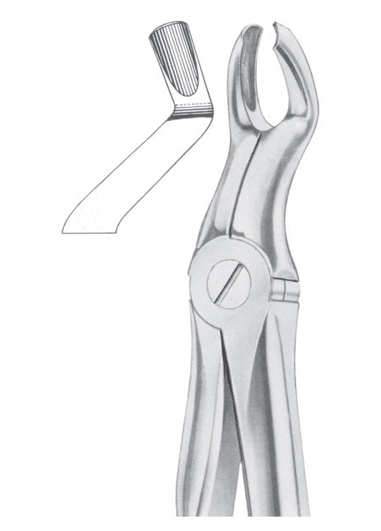 Fig. 67 � L upper third molars left