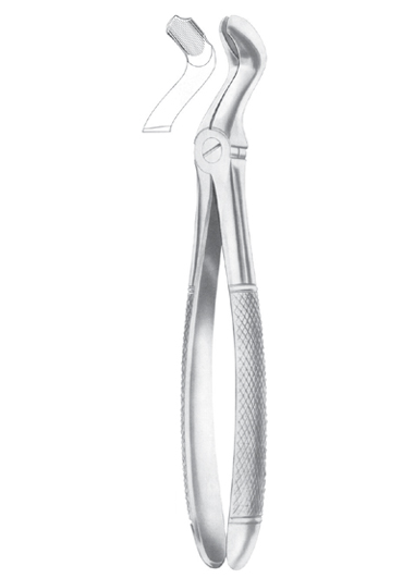 FELSCH (Fig. 210) upper third molars