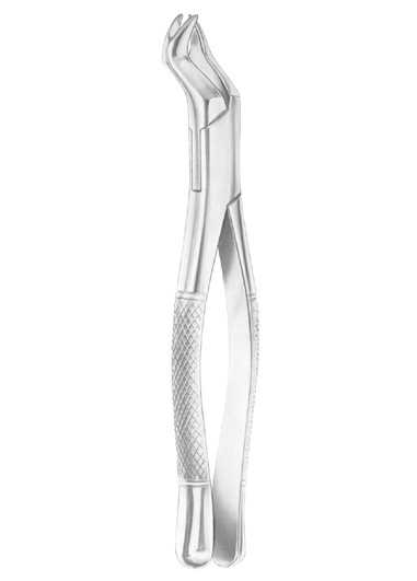 NEVIUS Fig. 88L upper molars left