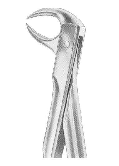 Fig. 86B lower molars