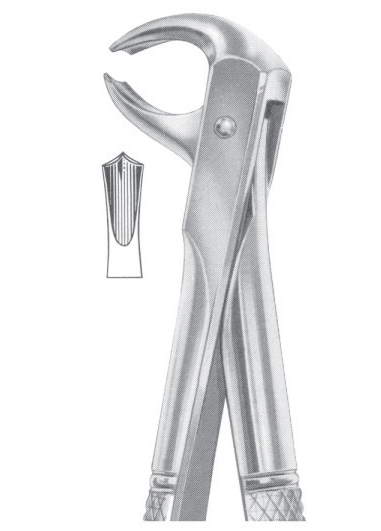 Fig. 73 lower molars