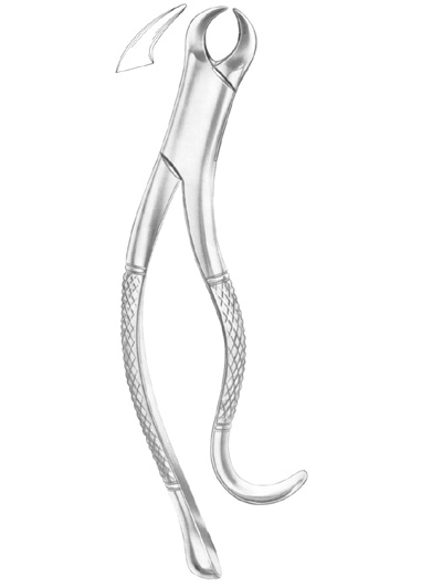 Fig. 16 lower molars