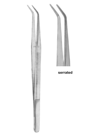 COLLEGE 15 cm