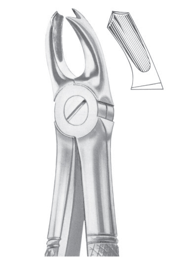 Fig. 65R upper molars right