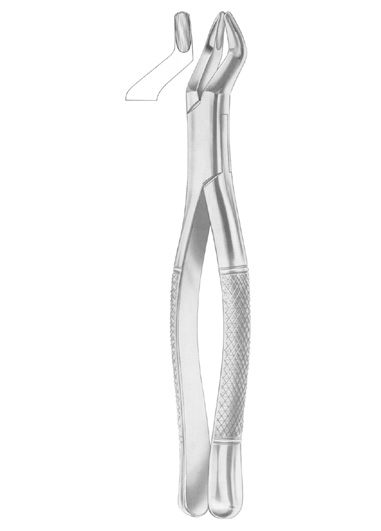 1288 STANDARD Fig. 330/4 upper third molars