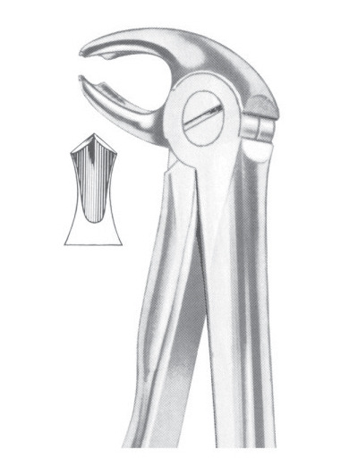 Fig. 22 lower molars