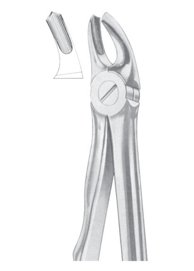 Fig. 39R upper molars right for children