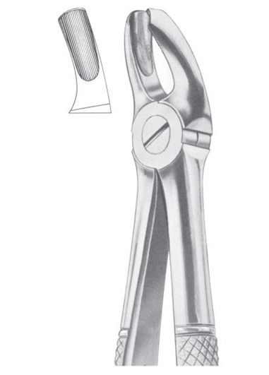 Fig. 18 upper molars, left