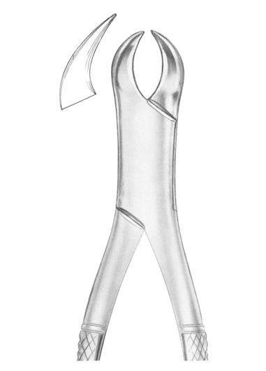 Fig. 23 lower molars