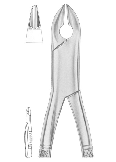 KELLS Fig. 99C upper incisors, canines, premolars