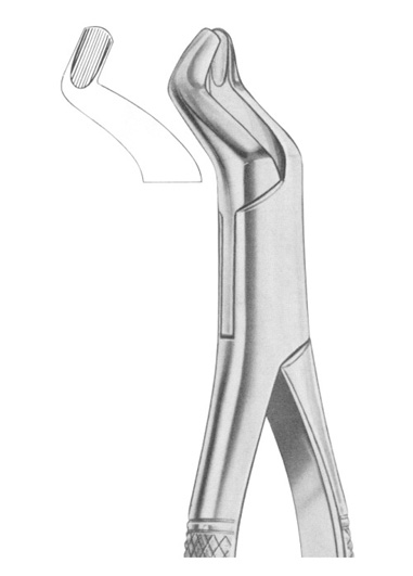 Fig. 210S upper third molars