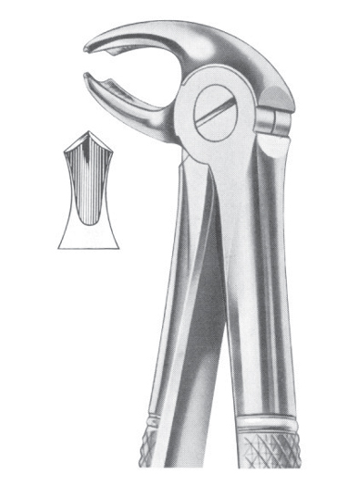 Fig. 22 lower molars