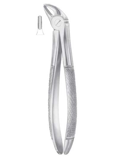 Fig. 38 lower incisors & canines for children