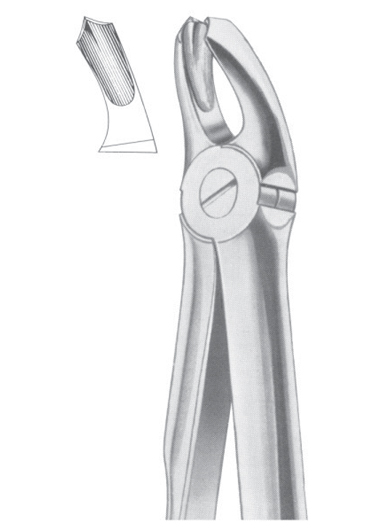 Fig. 18A upper molars