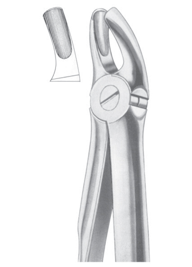 Fig. 18B upper molars