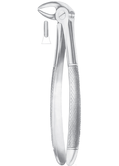 HERTZ (Fig. 211) lower incisors