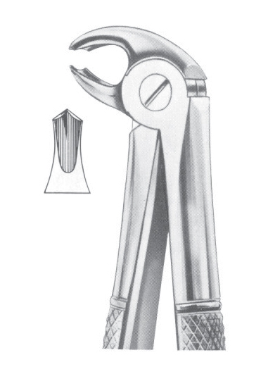 Fig. 22S lower molars for children