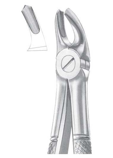 Fig. 39R upper molars right for children