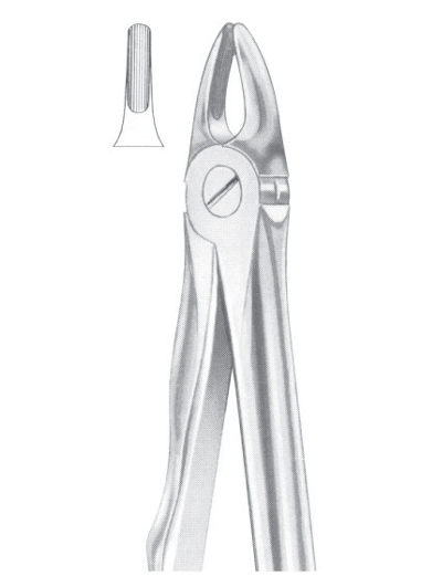 Fig. 37 upper incisors for children