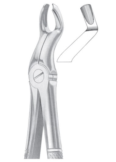 Fig. 67 �L upper third molars left