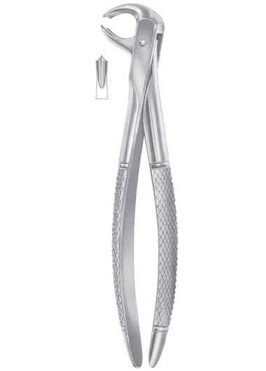 Fig. 73A lower molars