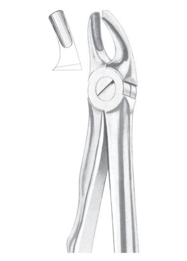 Fig. 39L upper molars left for children