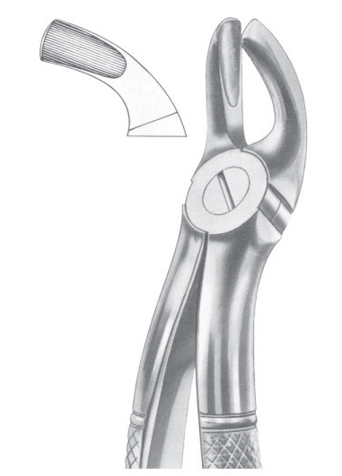 Fig. 19 upper third molars