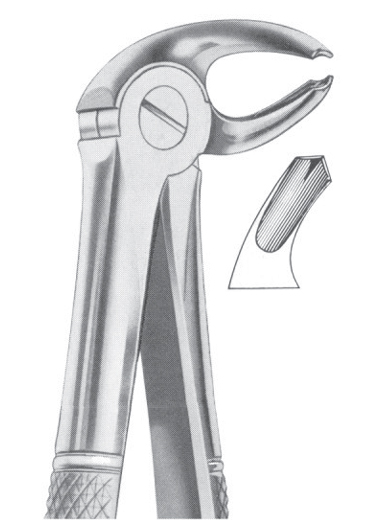 Fig. 23 lower molars right