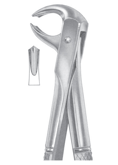 Fig. 73S lower molars