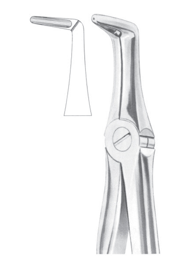 Fig. 45 lower roots