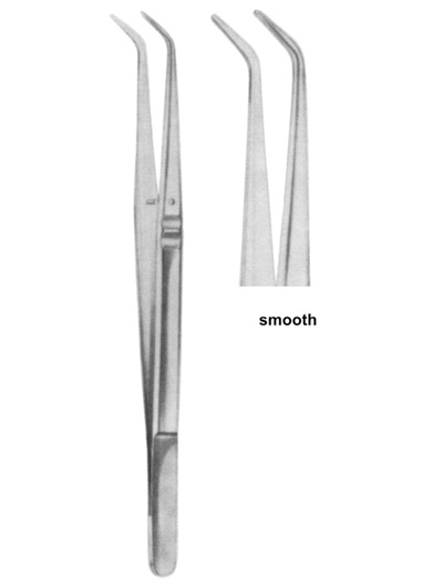 COLLEGE 15 cm