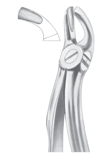 Fig. 19 upper third molars