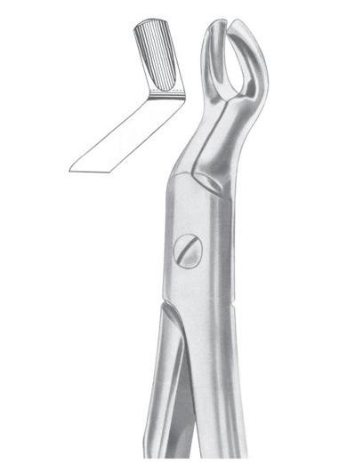 Fig. 67 upper third molars