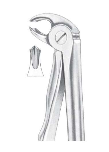 Fig. 22S lower molars for children