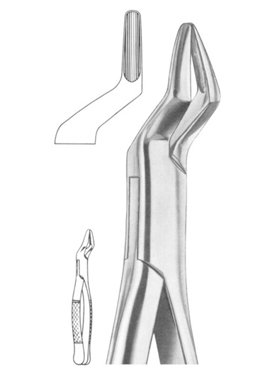 Fig. 35 upper roots