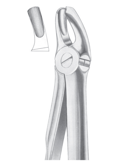 Fig. 18 upper molars left